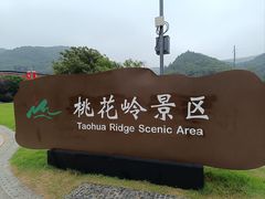 -桃花岭景区