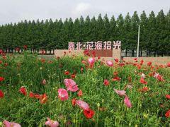 -嘉北郊野公园