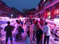 -华声天桥民俗文化园