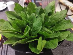 菠菜-煲宫(华润万象城店)