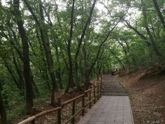 -皇藏峪国家森林公园