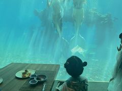 -海棠湾洲际-涛·海底餐厅·美人鱼·自助餐·海底隧道