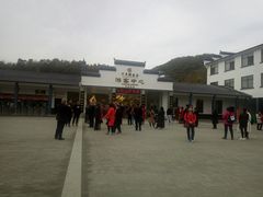 -千年银杏谷文化旅游区