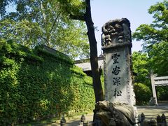 -灵谷景区