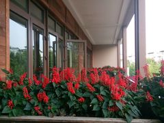 android_upload_pic-黔蘑菇四季餐厅(观山湖店)