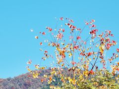 -塔川景区
