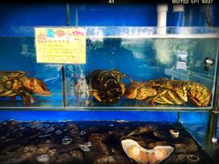 -蚝专家(北滘店)