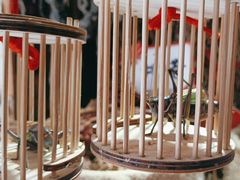 -王婆炒鱼(总店)