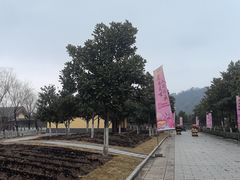 -横店圆明新园