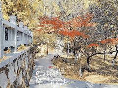 -岳麓山风景名胜区