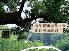 -忠山公园