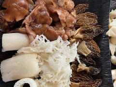 -蘑统田下·野生菌火锅