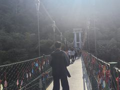 -西双版纳原始森林公园