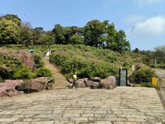 景点-广州市石门国家森林公园