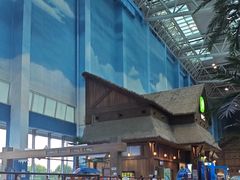 -青岛东方影都融创水世界