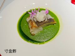 -觀芷隐轩