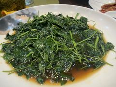 -巷子宽·酸菜鱼(迪士尼小镇店)