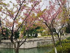 -湘湖金融镇