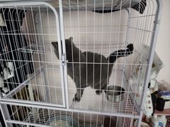 -奶油猫DIY·手工·团建·美陈搭建(宝山万达店)