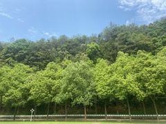 -梅州雁山湖国际花园度假区