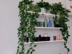 -ON STAR SALON