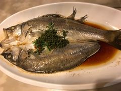 -九朝会昆曲·宴(望京店)