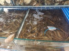 -蟹谢蒸鲜自助餐厅
