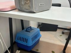 -御宝贝·A梦猫科宠物医院(国际猫友好医院)