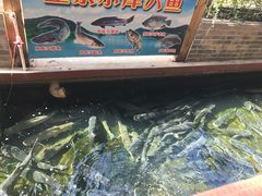-侠成水上农庄(工业大道店)