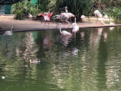 -九龙公园