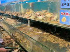 -仙螺岛海鲜自助餐厅(总店)