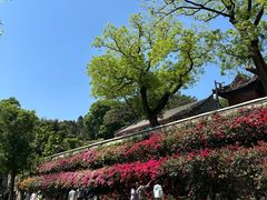 -红螺寺
