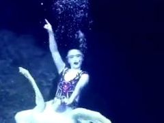 -多彩贵州城极地海洋世界