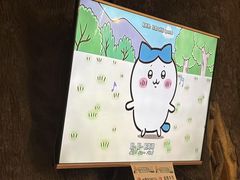 -猫猫幼稚园·撸猫·桌游·电玩