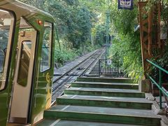 -神户市立六甲山牧场