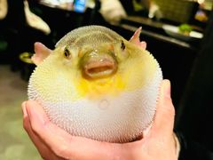 -永安鱼庄·镇江菜(东吴路店)