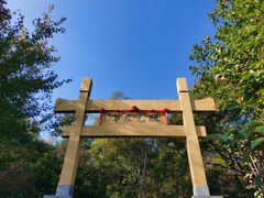 -老山国家森林公园
