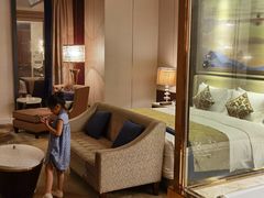 -长沙富力万达文华酒店