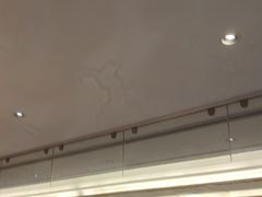 -稻香酒家·34年老字号·港式粤菜(侨光店)