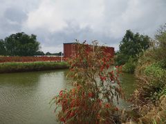 -芒洲湿地公园