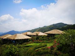 -优游吧斯邹族文化部落