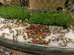 -宁波阳光豪生大酒店·豪生咖啡厅