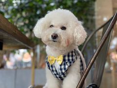 -桃园眷村(万象天地店)