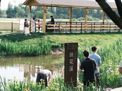 -长田漾湿地公园