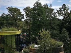 -三鹰之森吉卜力美术馆