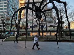 -六本木新城展望台(东京城市景观)