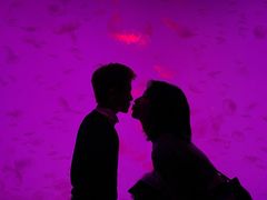 -沈阳海洋探索中心