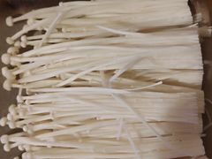 -毛毛老火锅(八年观音桥店)