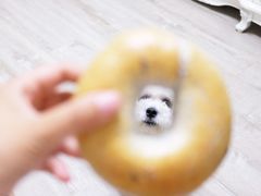 -啊噗吐呦现场烘焙(麦凯乐店)