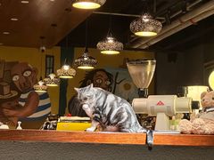 -咖法森林·咖啡  酒吧(天河店)